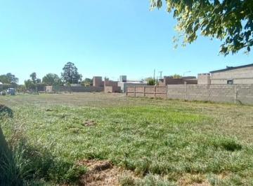 Terreno , Colonia Cavour · Se Venden Dos Lotes en Cavour