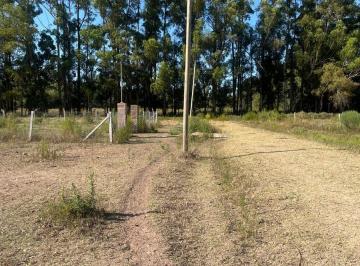 Terreno · 1200m² · Venta. Lote 1.200 m². Fincas de Lima. Zarate