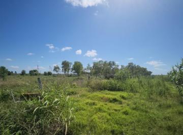 Terreno · 120000m² · Terrenos en Venta Funes