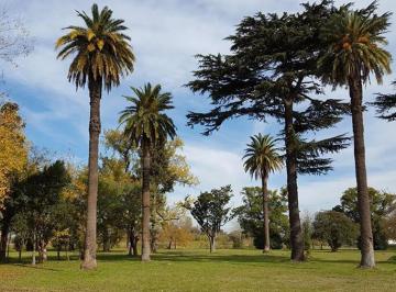Terreno · 450m² · Terreno - Longchamps