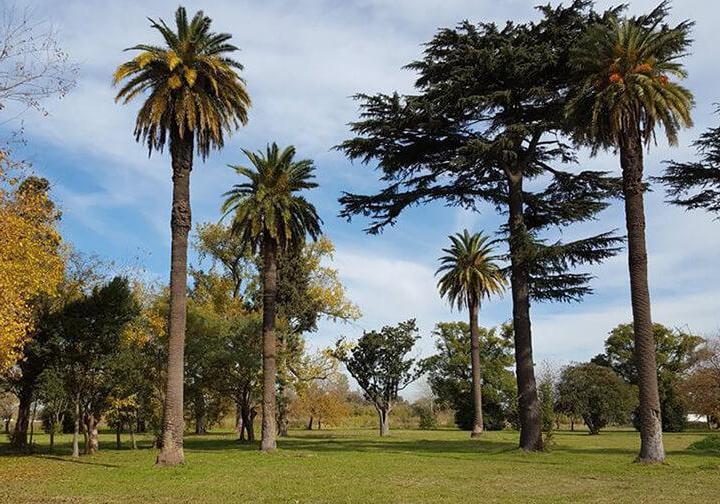 Terreno · 450m²
