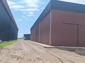 Bodega-Galpón · 1000m² · Alquiler! Nave Industrial a Estrenar - Polo 52!