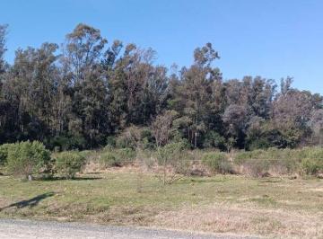 Terreno · 21045m² · Venta Chacra 2 Ha El Aduar Bosque y Campo