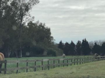 Terreno · 7494m² · Lote Terreno Chacras de Parana Lima Baradero Zarat
