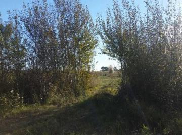 Terreno · 2000m² · Terreno Venta 50x40 m - 2.000 m 2 Totales - Mar de Ajo