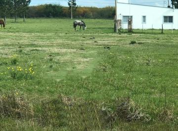 Terreno · 475m² · Terreno en Venta - 475 m² - Gualeguaychú, Entre Ríos