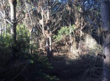 Terreno · 1000m² · Lote en Venta Costa Esmeralda Barrio Ecuestre Al