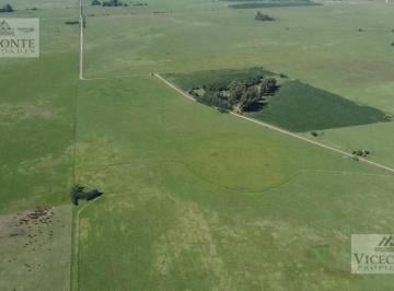 Campo de 5 ambientes, Chascomús · Campo 150 Ha Chascomús, Pdo Chascomús. Buenos Aires.
