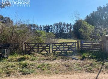 Campo · 50m² · 2 Ambientes · Manzanares Pilar - 1 Ha con Arboles