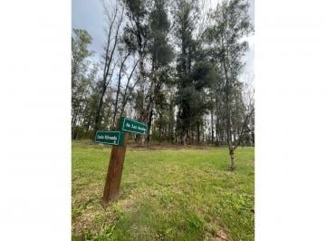 Terreno · 1013m² · Lote - Campo Timbo