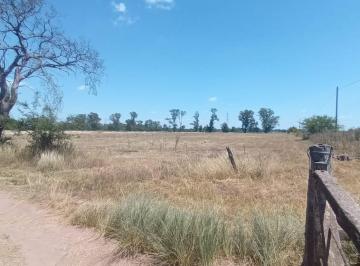 Campo , Ezeiza · Venta Campo de 86 Ha en Carlos Spegazzini – Ezeiza – Ideal Desarrollo