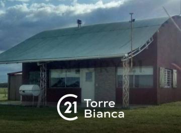 Casa · 150m² · 4 Ambientes · Chacra con Vivienda (4) Cuatro Ambientes en Venta - Zona Rural - General Madariaga.