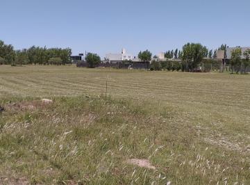Terreno · 585m² · Venta Terreno Las Tardes Barrio Abierto Roldan