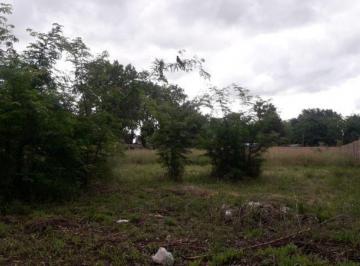 MRZ-MRZ-278_2 · Lote. | Grito de Asencio