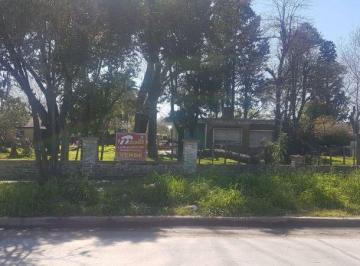 MRZ-MRZ-61_2 · Propiedad Suspendida Lote. | Daubert