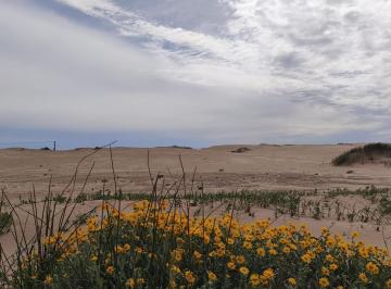 Terreno · 60000m² · Chacra Frente Al Mar en Verdemar (Entre Las Toninas y Barrio de Mar) Km 314