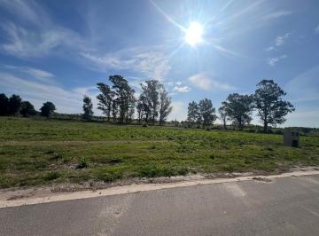 Terreno · 1600m² · Terreno de 1600 m² en El Barrio Pinares!