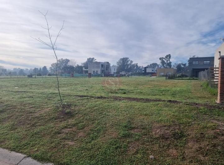 Terreno · 558m²
