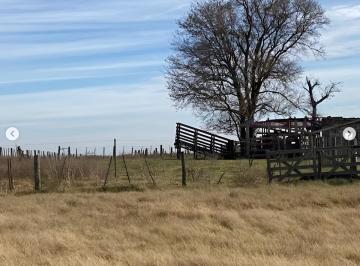 Campo · 32900000m² · Campo en Venta Carlos Tejedor