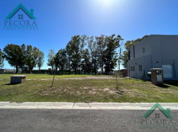 Terreno · 460m² · Terreno - Lote - Pilar del Este - Santa Elisa - Lote 248