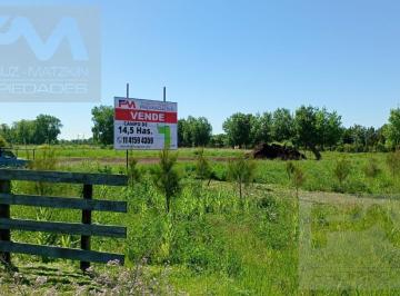 Campo · 146670m² · Campo - Carlos Keen