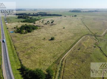 Campo , Chascomús · Campo 94,3 Ha Chascomús, Partido de Chascomús, Provincia de Buenos Aires.