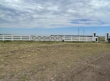 Campo de 10 ambientes, Tornquist · Estomba – Tornquist – Sierra de La Ventana – 2.700 Has - Mixto