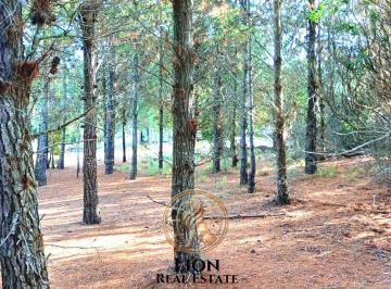 Terreno · 952m² · Venta Terreno en Barrio Ecuestre de 950 m²