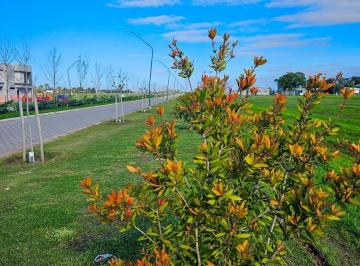 portada · Lote de 428 m² - Venta - Barrio Abierto Residencial - Pueblo Esther