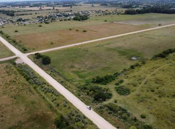 Terreno · 15000m² · Terreno en Monte (A m de La Nueva Autopista)