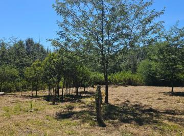 Terreno , Villa Yacanto · Oportunidad Increíble! 2 Terrenos de 300 m². Ubicación Única!