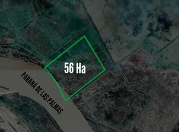 Campo · 560000m² · Campo en Venta - 56 Ha - Zarate