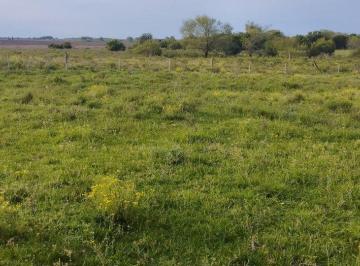 Campo · 17ha · Venta de Campo Agrícola Ganadero Canelones/montes