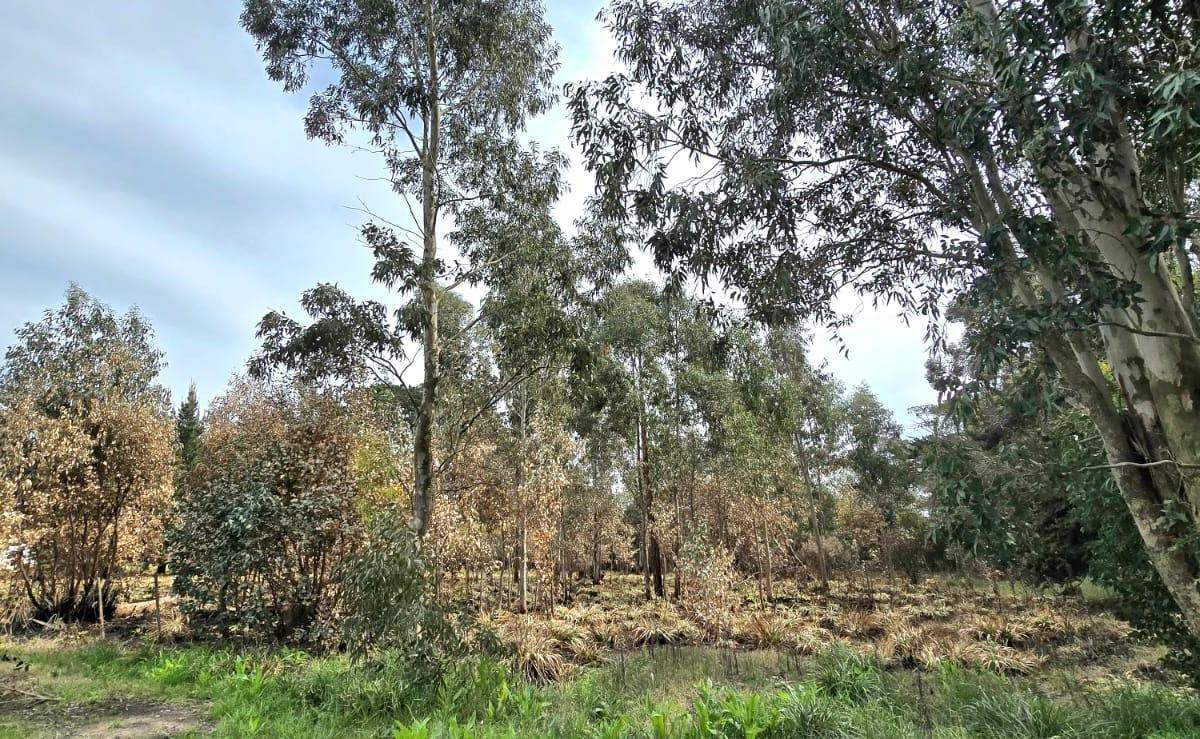 Lote 420m² en Reserva Golf Los Acantilados