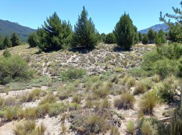 Terreno · 1000m² · Re/max Vende Lote Soleado y Vistas en Meliquina