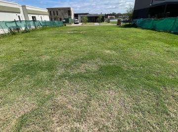 Terreno · 550m² · Terreno en Venta en Santa Ana