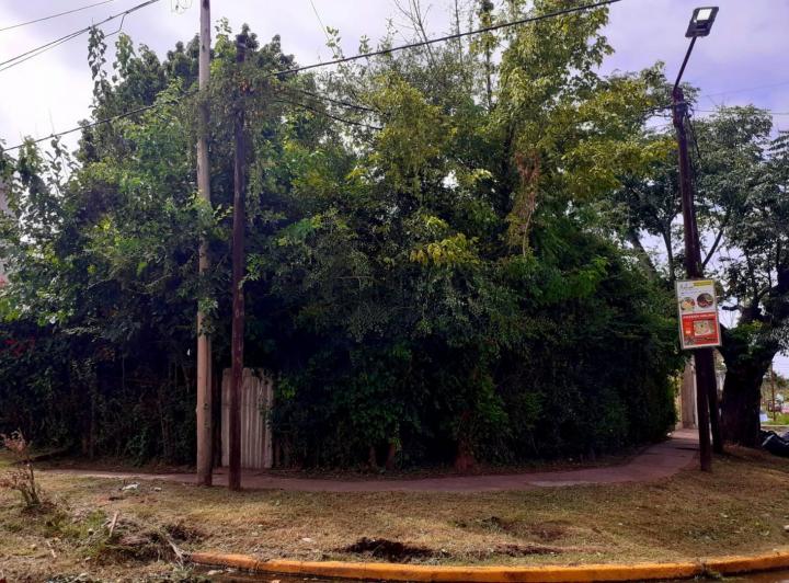 Terreno · 173m²