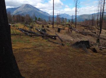 Campo · 20000m² · Chacra en Las Golondrinas - Chubut