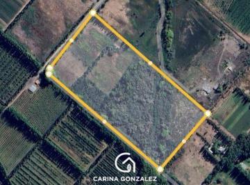 Campo · 57565m² · Chacra en Vista Alegre Sur