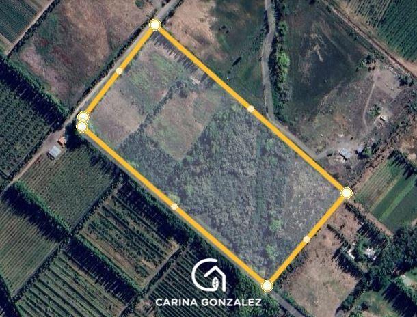 Campo · 57565m²
