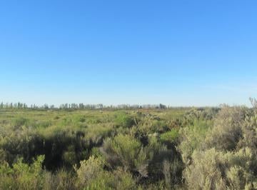 Campo · 200000m² · Catriel - Provincia de Rio Negro