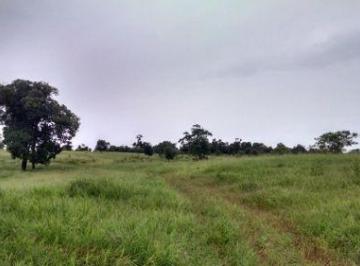JMZ-JMZ-35_2 · Campo 11000 Hectáreas |. | San Pedro - 11.000 Ha - Misiones Al 100
