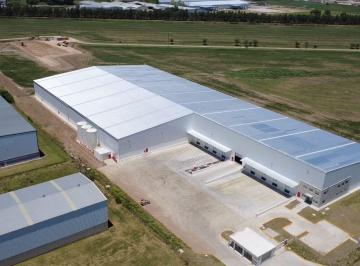 Depósito · 11000m² · Alquiler Deposito 11.500 m² Parque Industrial y Logistico Zarate