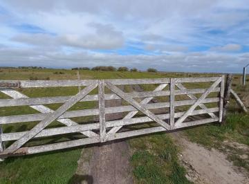 Campo · 249ha · Venta Campo Gral. Lavalle