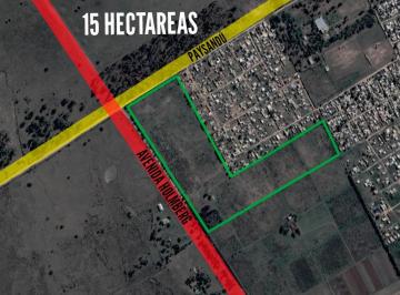 Campo · 150765m² · Campo en Venta - 15 Hectáreas - Florencio Varela