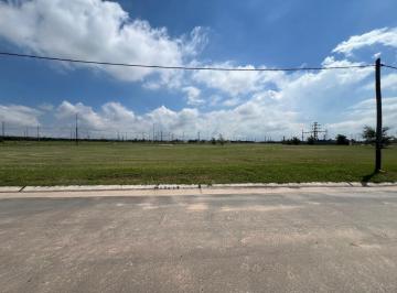 Foto · Docta Lote de 600 m