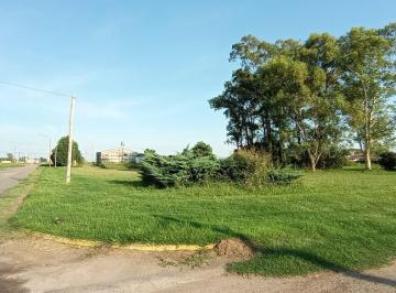 Terreno , Nuevo Torino · Terreno en Nuevo Torino