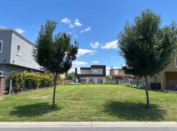 Terreno · 490m² · Terreno Lote en Venta en Santo Tomas, Pilar, G. B. a. Zona Norte