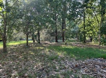 JSP-JSP-4297_4 · Venta de Lote en Barrio Angosto City Bell