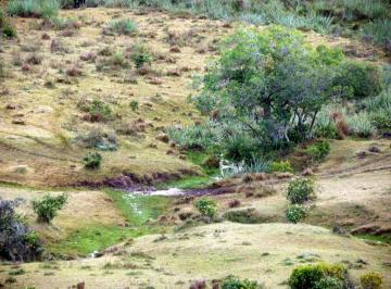 Terreno · 365000m² · Terreno en Venta - 36,5 Hectáreas - Rocha, Uruguay